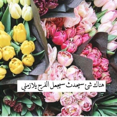 (الحمد لله رب العالمين)
أعظم كلمة نرددها في حياتنا.. كلمة يقولها القلب قبل اللسان لتنعكس على الجوارح فتخضع لله شكراً وسلوكاً وعملاً. ♡.