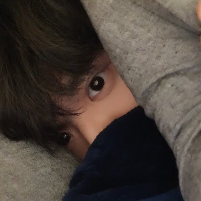 wangxiaosen233's profile picture. CS+Math@UIUC, MEV researcher