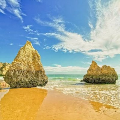 tete_brazil's profile picture. 