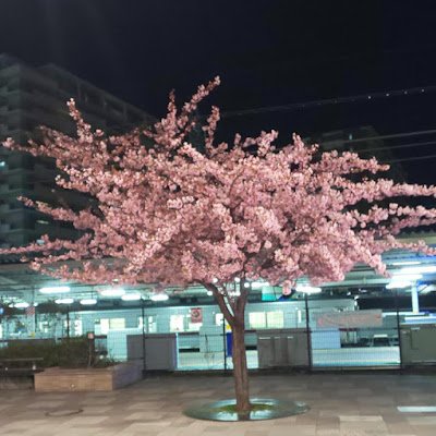 830fTBCjV084704's profile picture. 