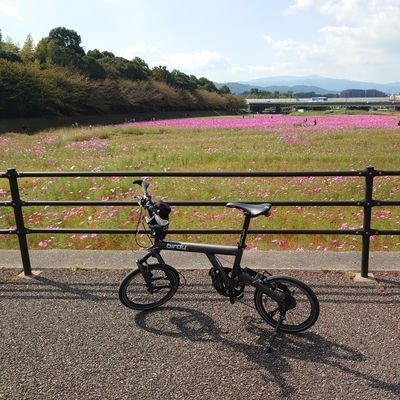 福岡の筑紫野でロードバイク&MTB＆ミニペロ に乗ってる者です。
近くで乗ってる人一緒に走りませんか？
#ロードバイク　#MTB　＃折りたたみ自転車　#ピナレロ　＃トレック