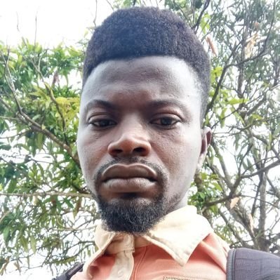 KimberleyC4901's profile picture. 