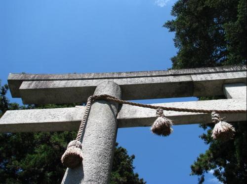 荒川鯉師さんのプロフィール画像