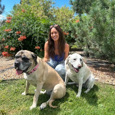 barkthevalley's profile picture. Dog Training & Puppy Training Services in The Valley
As a certified dog behavioral therapist and dog trainer, I conduct in-home, private, one-on-one training