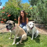 Bark Busters - The Valley (@barkthevalley) 's Twitter Profile