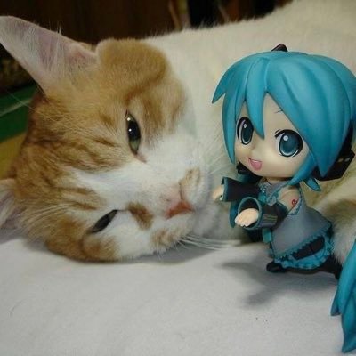 ☆さんのプロフィール画像