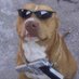 jUMBA69 (@jumba69_) Twitter profile photo jUMBA69 (@jumba69_) Twitter profile photo