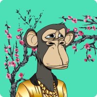 vitallik.eth (@ngocthach2010) 's Twitter Profile