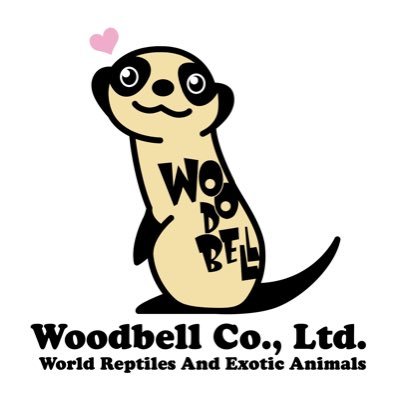 Woodbell Co.,Ltd.爬虫類・エキゾチックアニマルの輸入・販売・輸出・繁殖してます。登録番号:1360  営業時間:月火水金15:00〜20:00土日13:00〜20:00 定休日:木曜日 TEL 048-812-5099お店前3台のみ駐車可。