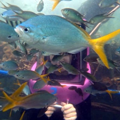 pomezarashi13's profile picture. bmonster🥊銀座(2023.10〜)🔰／PGM備忘録。無言フォロー失礼します🙏