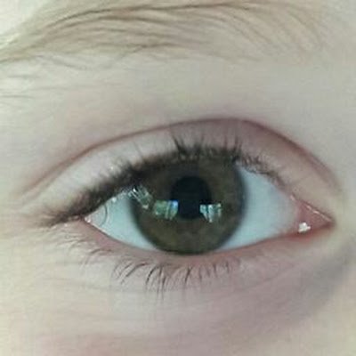 qizaher's profile picture. ابو زهير