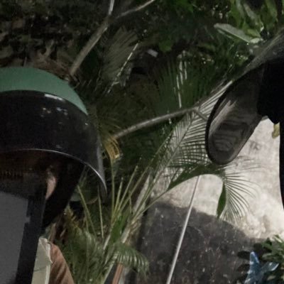 ZrzrrRyann's profile picture. UI
kangen banjar