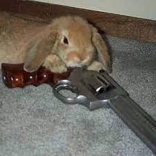 sodapopbunnyhop's profile picture. 