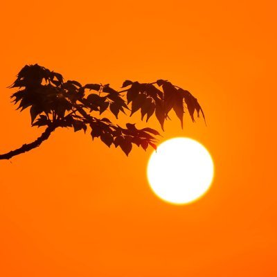 xdvanhx's profile picture. 