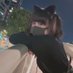 甘猫🍥 (@amane_rus) Twitter profile photo 甘猫🍥 (@amane_rus) Twitter profile photo