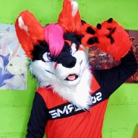 CashTheFox(@Cash_The_Fox) 's Twitter Profile Photo