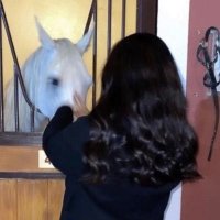 Lama (@lamaa881q) Twitter profile photo