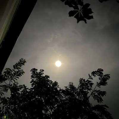 0Trito0's profile picture. 