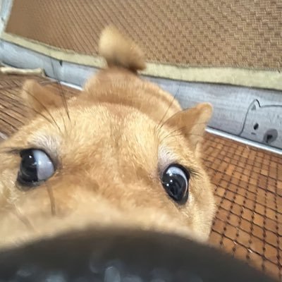 jamsbill_good's profile picture. for fun