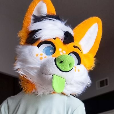 Scrubb_the_fox Profile Picture