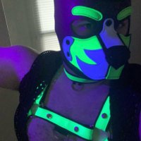 EctoPuppyAD (@possessedpaws) 's Twitter Profile