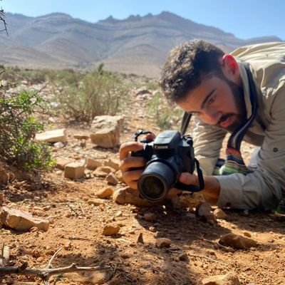 PhD student at MNCN-CSIC.
Behavioural biology, chemical communication, sexual selection and animal personality.
Wildlife photography on @mirandoatodoslados