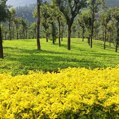 Vinothmeganadh2's profile picture. 