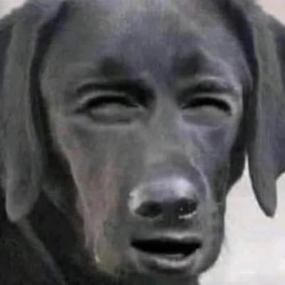 winlivememes's profile picture. come vibe with me and enjoy this content!!