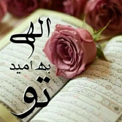 عاشق وطن، افغانستان زیبا.
اگر فالو کردی حتماً بک می خوری