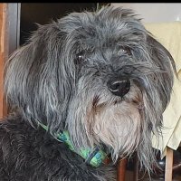 Del Pouwels (@pouwelsdel) 's Twitter Profile
