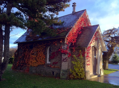 Founded in 1852, Oakwood Cemetery is home to some of Niagara Falls, NY's most colorful and historic characters.