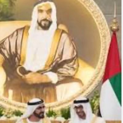 الإمارات العربيه المتحدة/ دكتوراه في الموارد البشرية/جامعه عين شمس/القاهرة