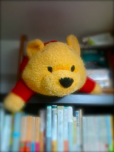 ybuckeye's profile picture. sales engineer. watch football (Sanfrecce Hiroshima), baseball(Hiroshima Carp) & play futsal. originally from Niigata, JPN. backpacker.