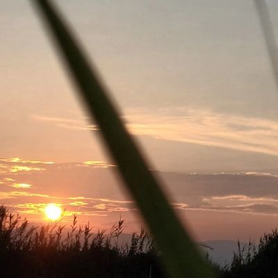 HenthoiS's profile picture. exolover__EXO-l