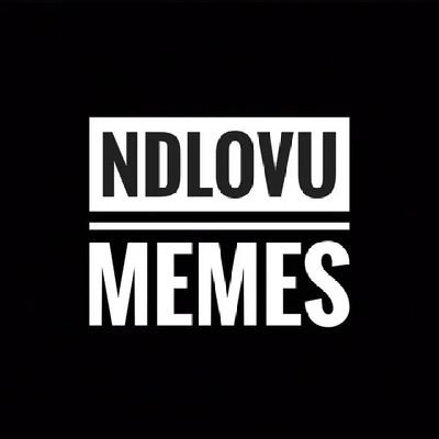 ndlovumemes Profile Picture