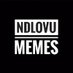 🇸🇿ndlovumemes (@ndlovumemes) Twitter profile photo