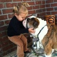 bulldog.lovers.club(@bulldogloversc) 's Twitter Profile Photo