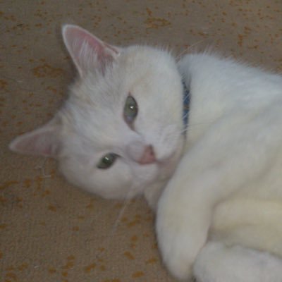 yuttayutta1214's profile picture. 秋田県内や東北のアイドル、シンガー、YOSAKOIなどのイベント現場に参戦してます。写真投稿メイン。GMU、仙台flavor、まつりっこガールズ、Yummi、神崎りく、横舞伝。