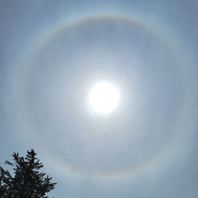 EdwardC85684024's profile picture. 