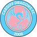 Cardiff Dragons FC🏳️‍⚧️⚽️🏳️‍🌈 Dreigiau Caerdydd (@cardiffdragons) Twitter profile photo