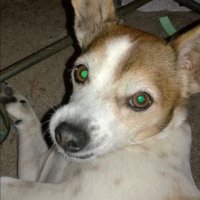 David 🇭🇲🇺🇸🇬🇧. (@david13353252) 's Twitter Profile Photo David 🇭🇲🇺🇸🇬🇧. (@david13353252) 's Twitter Profile Photo