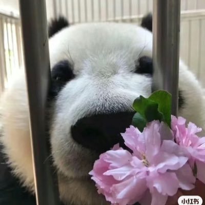 美容情報収集