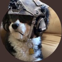 Max_Fender3 (@max_fender3) 's Twitter Profile Photo Max_Fender3 (@max_fender3) 's Twitter Profile Photo