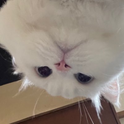 gyupa8's profile picture. 