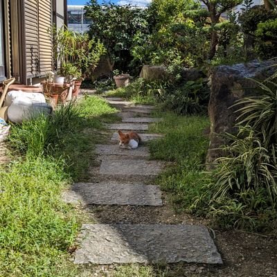 nimtn198's profile picture. 旅行が好き。47都道府県全部行くのが夢。ラスピのライキ好き。
最近文楽ハマりました。
特に竹本綴太夫さんが好きです！