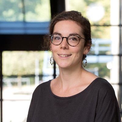 AI & lawmaking, Democratic governance, Constitution-making | CCL, Law & society | Postdoctoral researcher @unil | PhD from @UCLouvain_be