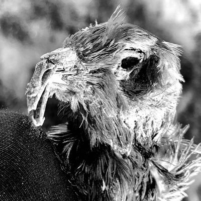 KovaryMichael's profile picture. post-punk, dark ambient, space rock, post-rock, soundtrack, goth