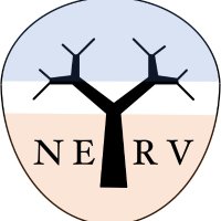 NERV Lab(@nerv_lab) 's Twitter Profile Photo