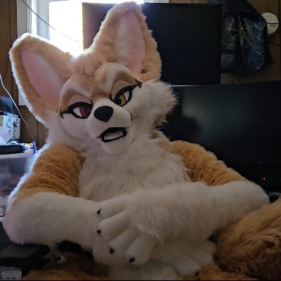 🐾 Fennec Fursuiter 》🖥️ High Tech Lowlife 》🏎️ Fast Cars and Big Guns 》🚀 Space Cadet 》👨🏻‍💻 Certified Packet Sniffer 》🏴‍☠️ #Infosec Guy 🔞