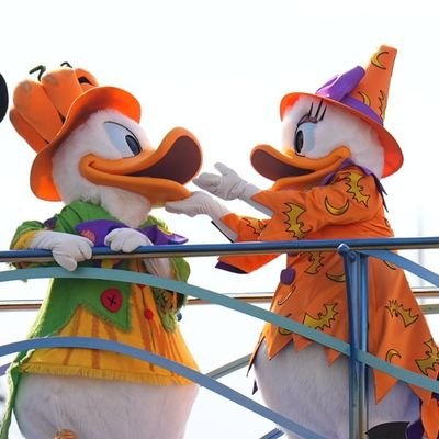 myhero_nxxn901's profile picture. 